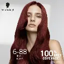 1dd51a0SCHAA00000005_3.webp
