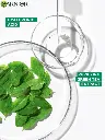 9f8a4d31-20f2-4edf-adec-9d2810b7f0ef1688382138213GarnierWomenHydraBombGreenTeaSerumMaskwithGlycerin-28g3.webp