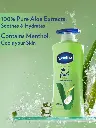 79d22096-b88c-4c7f-af30-4a5d5c90cff51713350915135StreaxProfessionalArganSecretHairColourantCreamColourCutter65.webp
