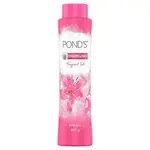 pond-s-dreamflower-pink-lily-fragrant-talc-400-g-product-images-o490008636-p490008636-1-202412121506.webp