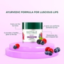 Biotique Bio Berry Plumping Lip Balm (12gm)