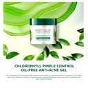 Biotique Bio Chlorophyll Oil Free Anti-Acne Gel (50gm)