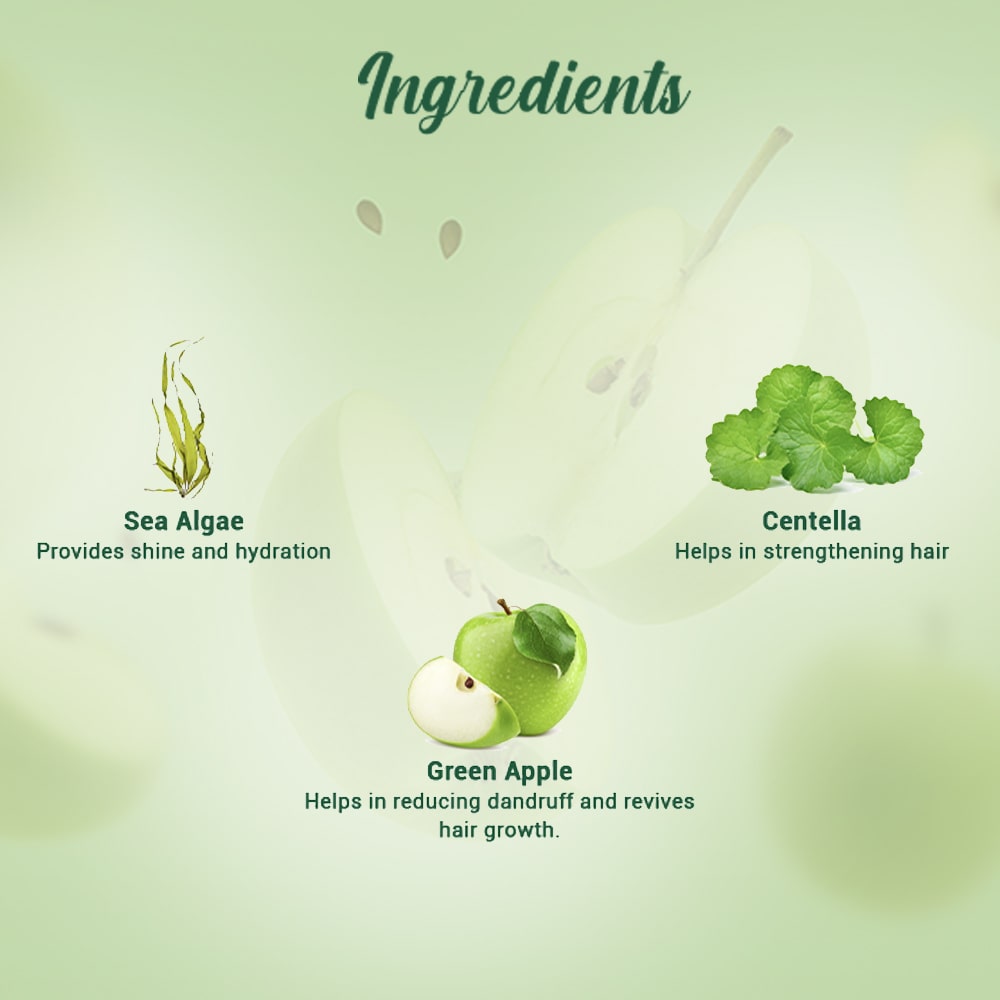 Biotique Bio Green Apple Fresh Daily Purifying Shampoo & Conditioner (180ml)