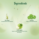 Biotique Bio Green Apple Fresh Daily Purifying Shampoo & Conditioner (340ml)