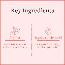 ingredients_copy_17_e23fe981-03e4-40a6-ab2b-63b09f7e1311.webp