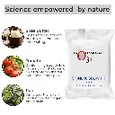 ingredients_2_e0d600c3-e2bf-4c1c-bdbf-fa50490d8f4a.webp