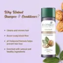 biotique-walnut-volume-and-bounce-shampoo-and-conditioner-190-ml-56_4_display_1666083481_83aace8c.webp