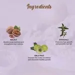 biotique-walnut-volume-and-bounce-shampoo-and-conditioner-190-ml-56_3_display_1666083478_bceb619e.webp