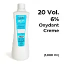 Loreal-Professionnel-Oxydant-Creme-20-Vol.-6-Developer-1000ml-2.jpg.webp