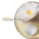 1b807f1NYMATRIX00036_3.webp