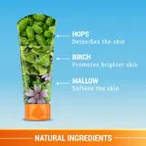 3in1MattelookSPF40_Ingredients_160x.webp