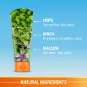 3in1MattelookSPF40_Ingredients_160x.webp