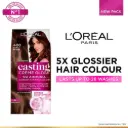 L'Oreal Paris Casting Creme Gloss Conditioning Hair Color - 400 Dark Brown